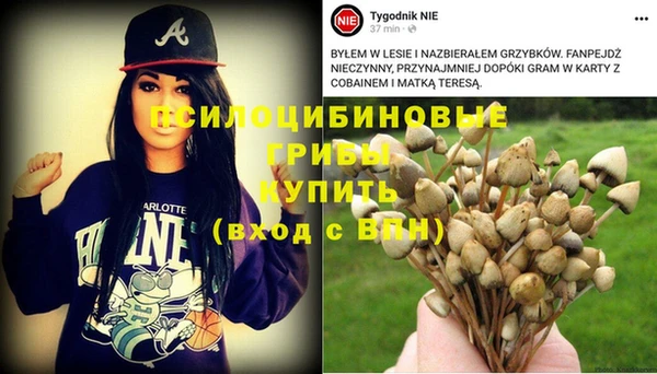 гидра Лиски