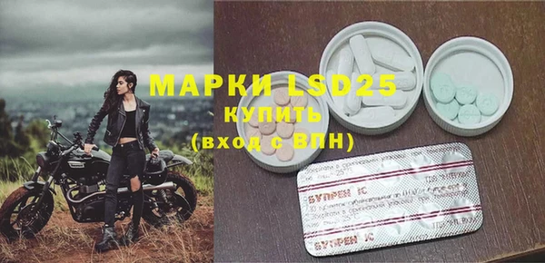 эйфоретик Липки