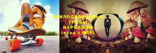 гидра Лиски