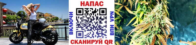 продажа наркотиков  Калач-на-Дону  Каннабис SATIVA & INDICA 